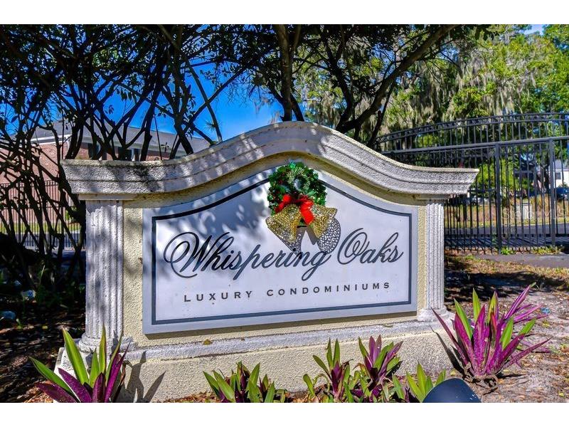 13693 Orange Sunset Drive #203 Tampa FL 33618 - LAKE MAGDALENE TB8455087 image46