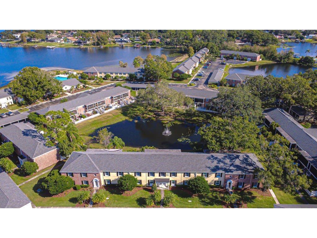 13693 Orange Sunset Drive #203 Tampa FL 33618 - LAKE MAGDALENE TB8455087 image8