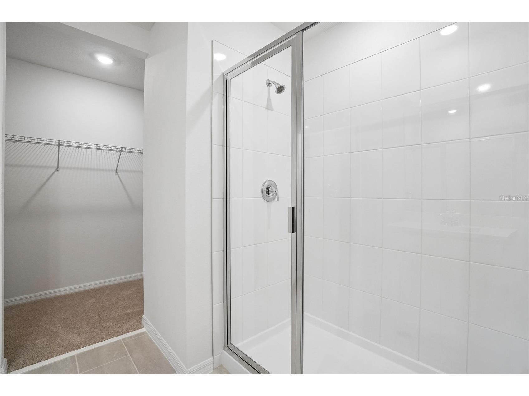 13696 Umber Forest Street Hudson FL 34669 TB8518097 image32