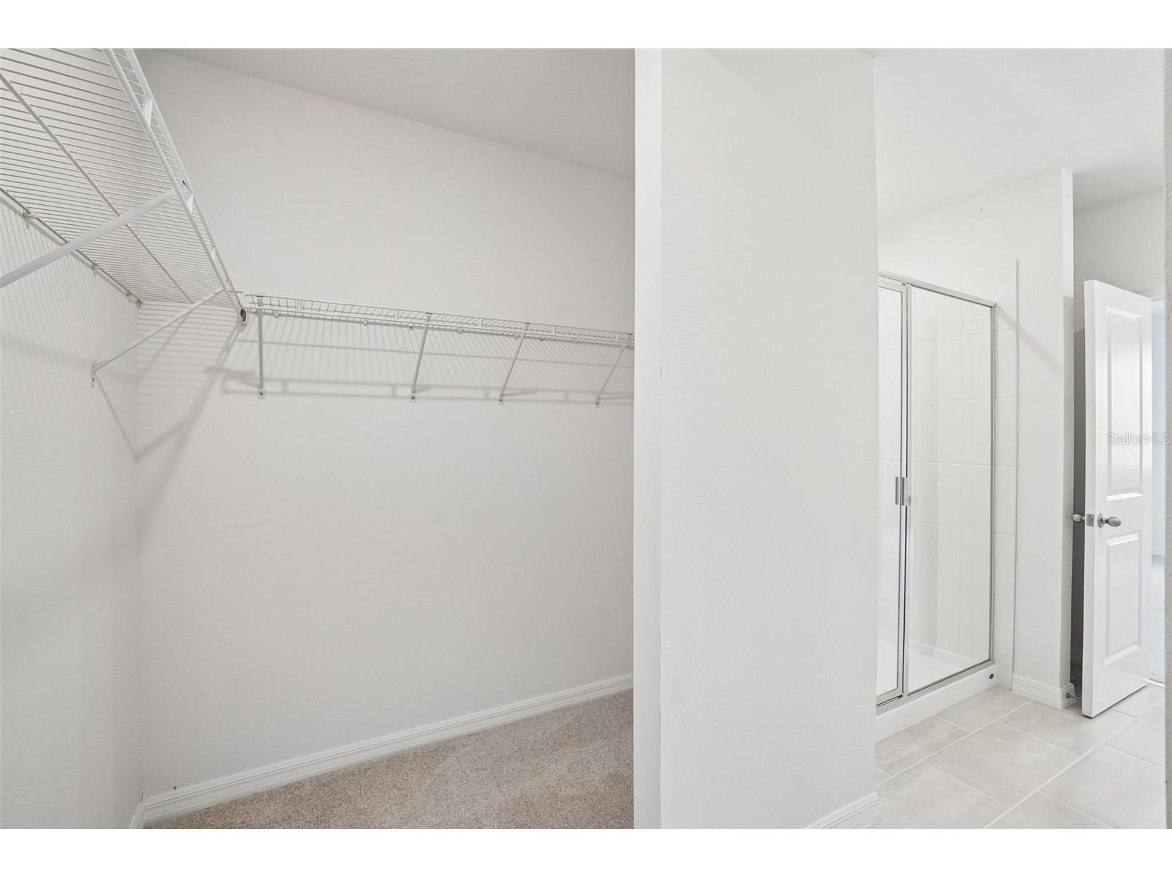 13696 Umber Forest Street Hudson FL 34669 TB8518097 image34