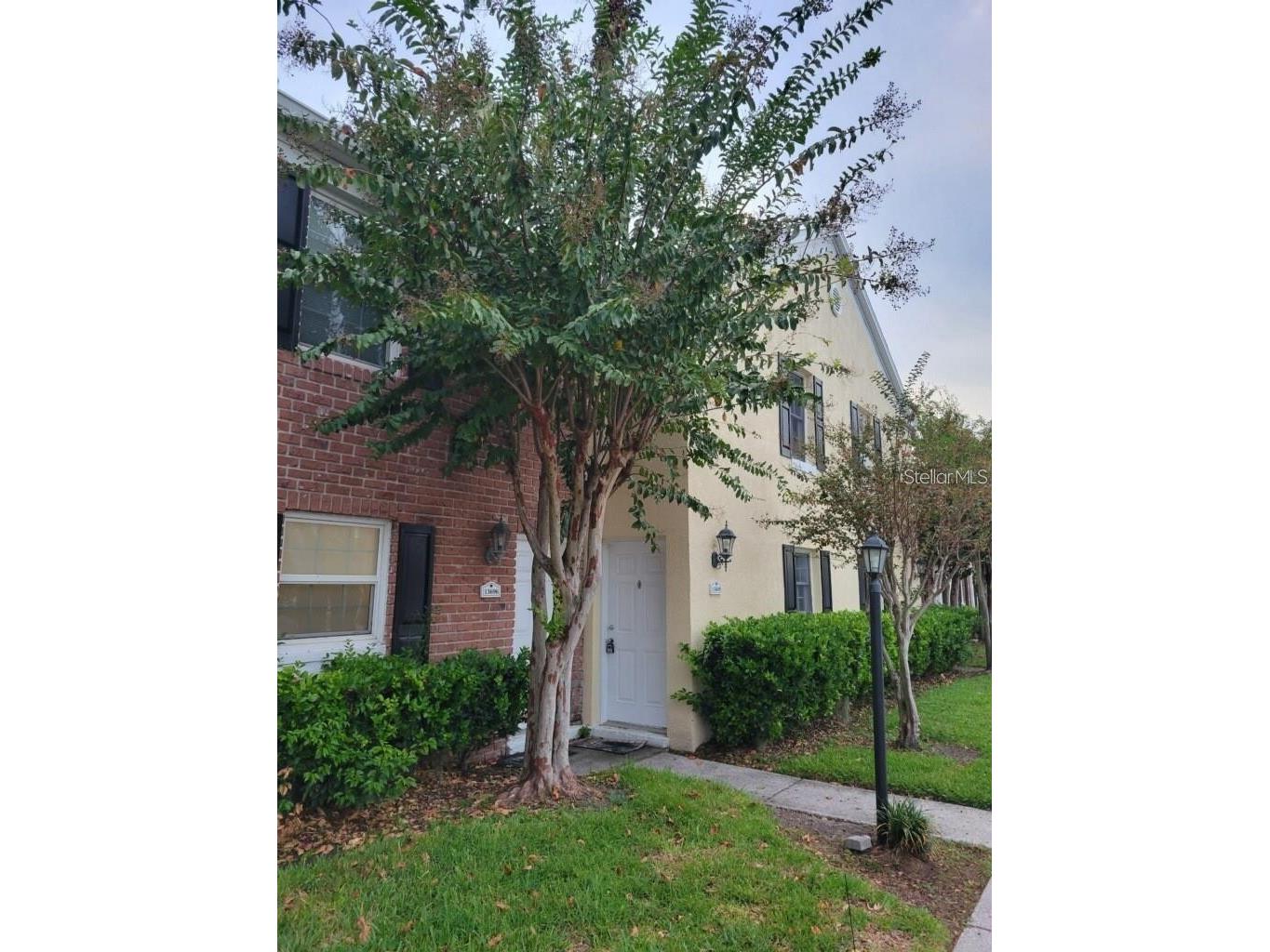13698 Orange Sunset Drive Tampa FL 33618 TB8492337 image1
