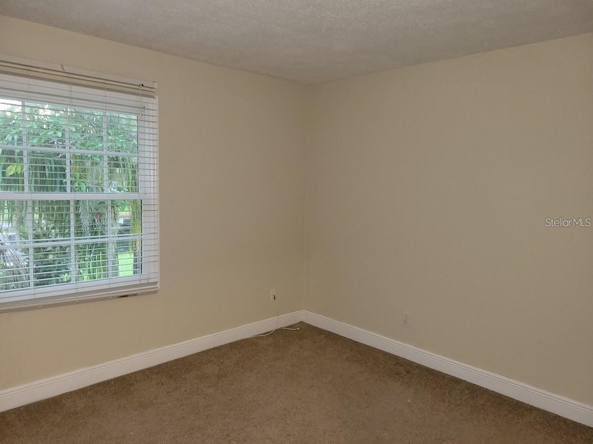 13698 Orange Sunset Drive Tampa FL 33618 TB8492337 image15