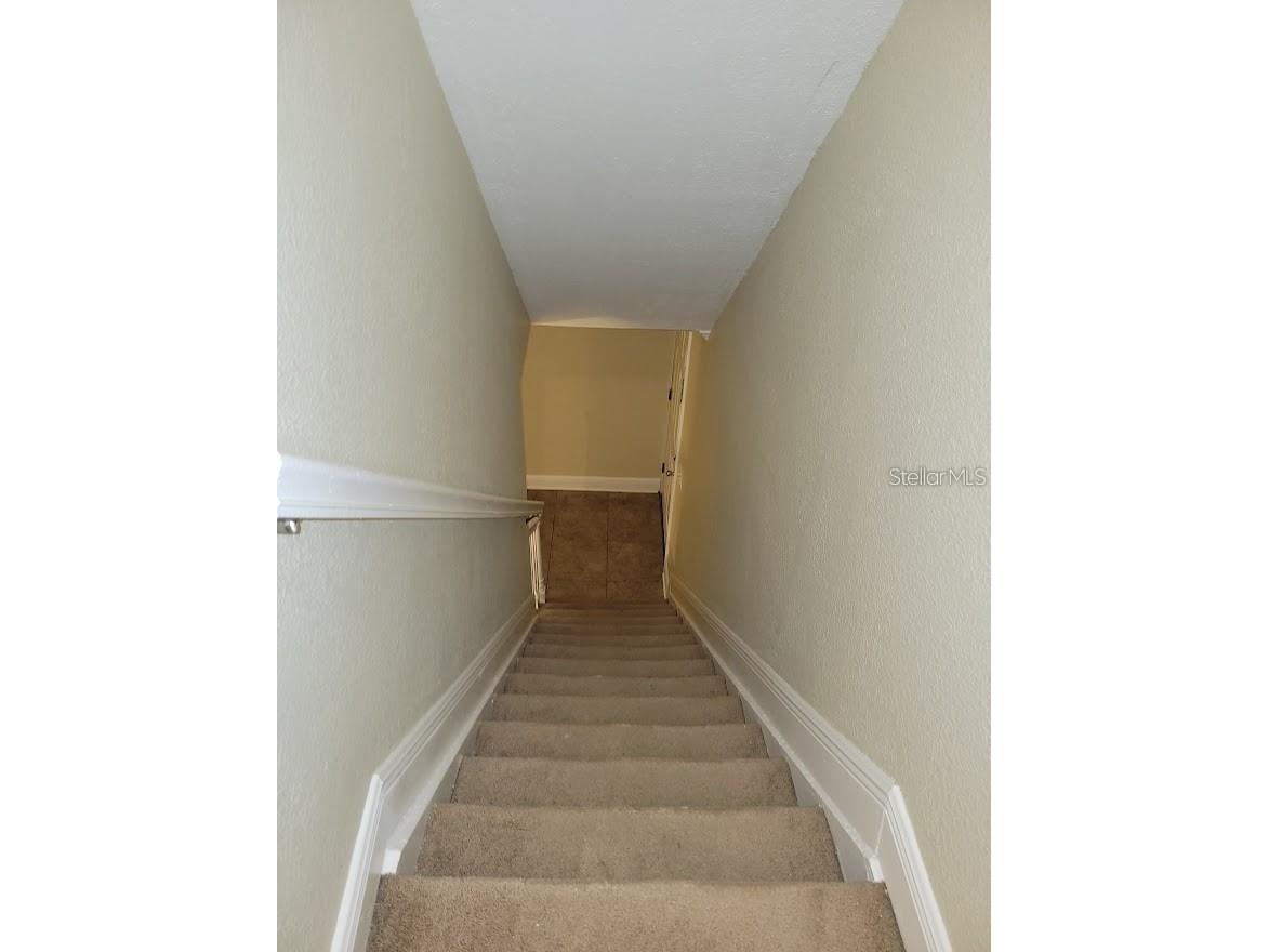 13698 Orange Sunset Drive Tampa FL 33618 TB8492337 image9