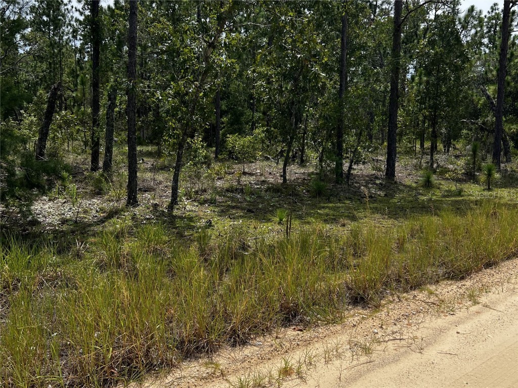 137 Beulah Drive Hawthorne FL 32640 GC533152 image1