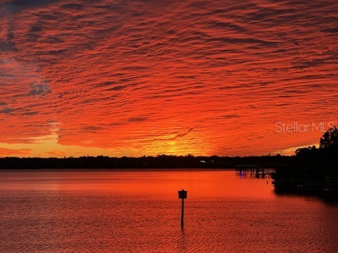 137 Brent Circle Oldsmar FL 34677 O6394251 image40