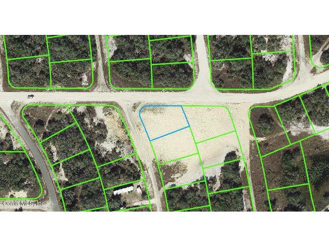 137 Briarpatch Drive Lake Placid FL 33852 OM542098 image1