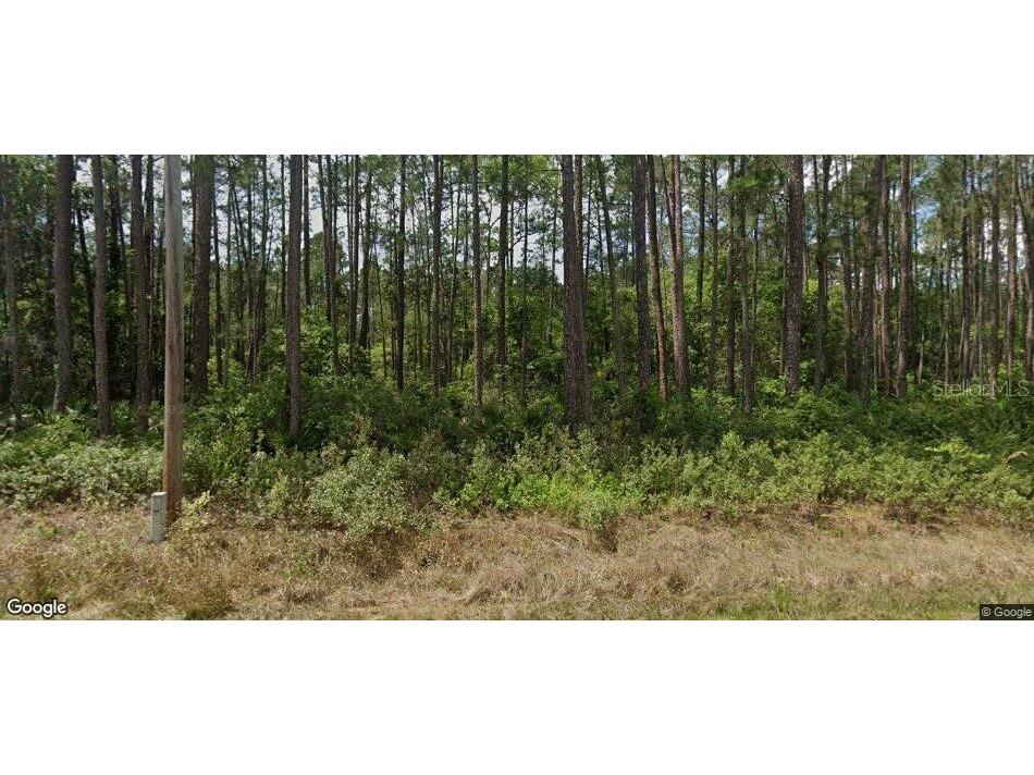 137 E Boundary Drive Georgetown FL 32139 OM725823 image1