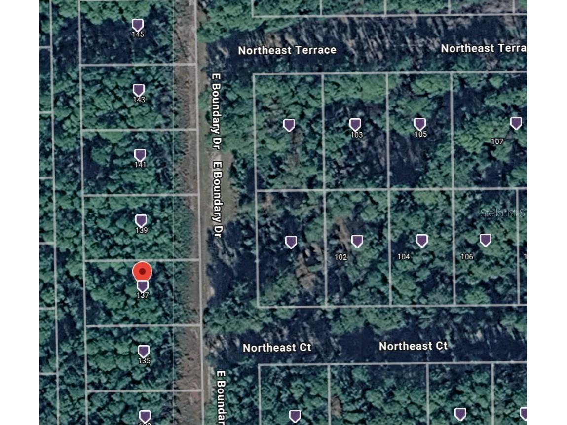 137 E Boundary Drive Georgetown FL 32139 OM725823 image12