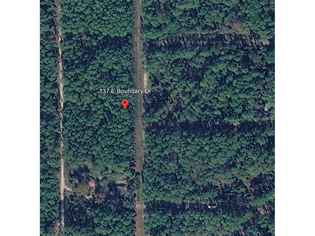 137 E Boundary Drive Georgetown FL 32139 OM725823 image3