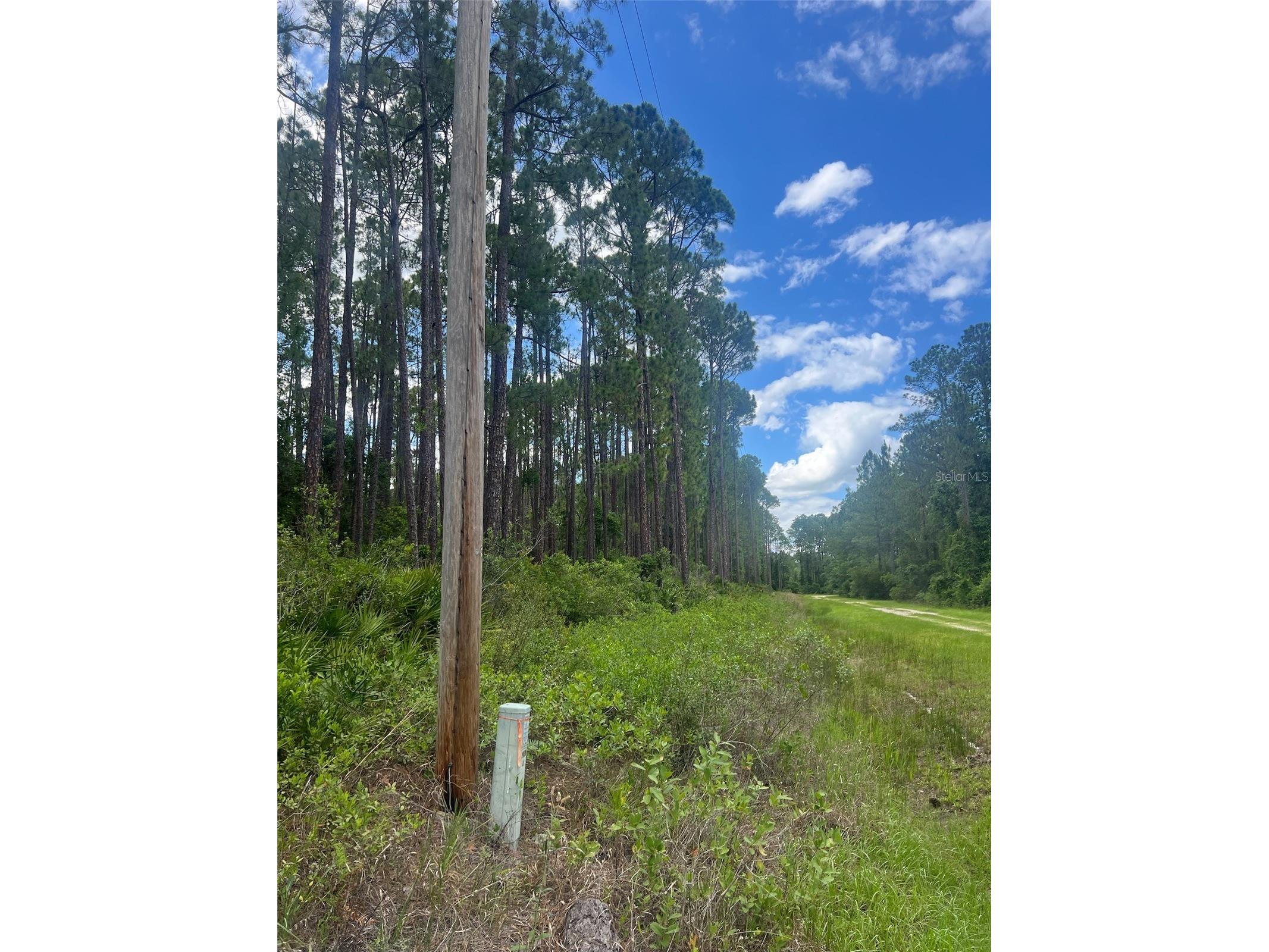 137 E Boundary Drive Georgetown FL 32139 OM725823 image8