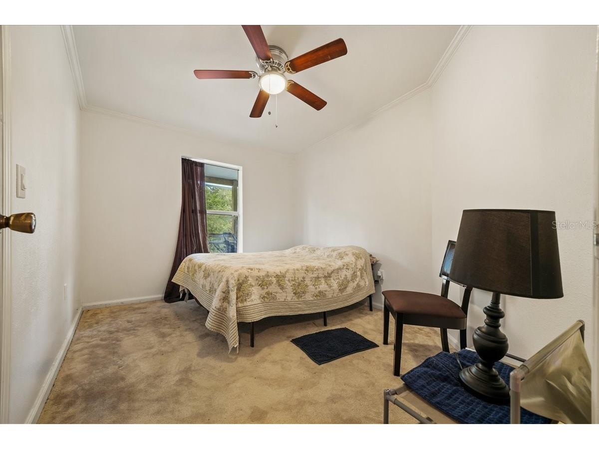 137 Franklin Avenue Pomona Park FL 32181 OM692634 image23