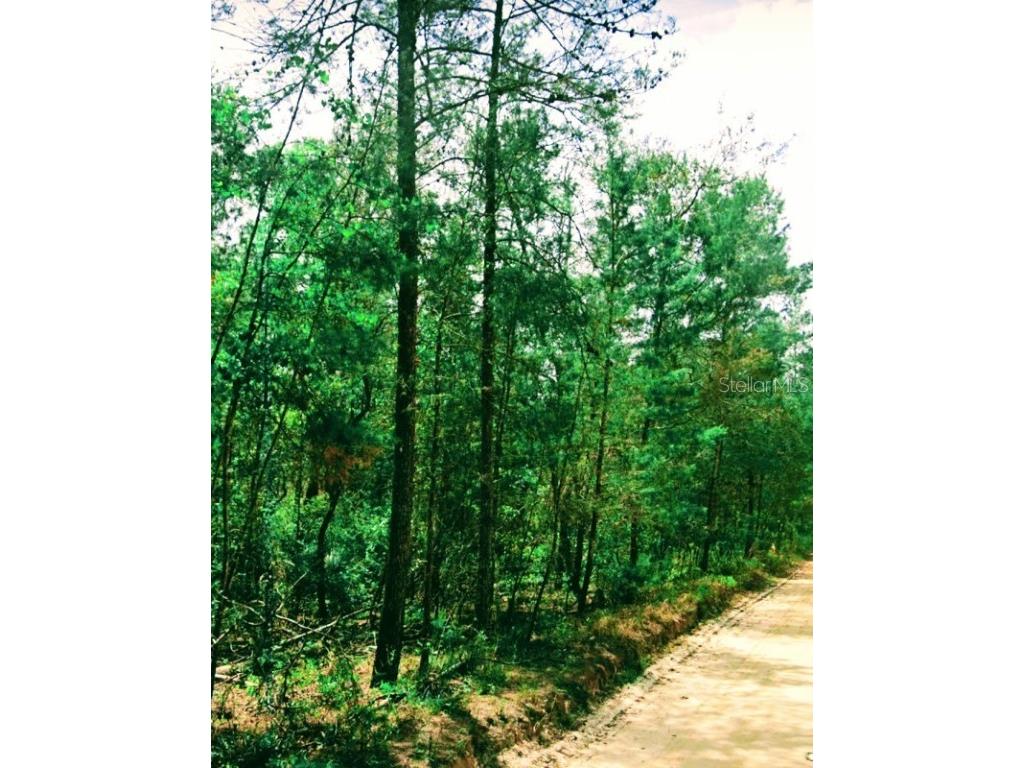 137 Lake Margaret Boulevard Pomona Park FL 32181 A4626950 image1