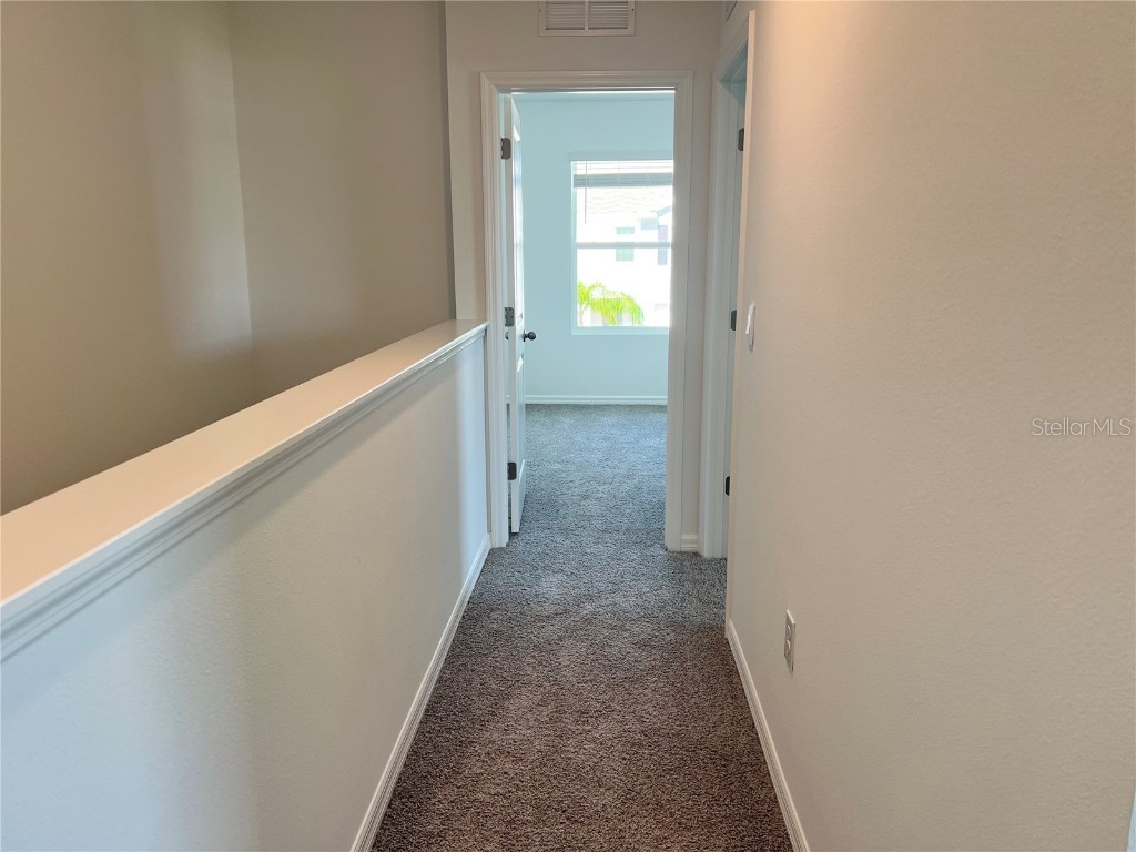 137 Mangrove Shade Circle Apollo Beach FL 33572 TB8423458 image23