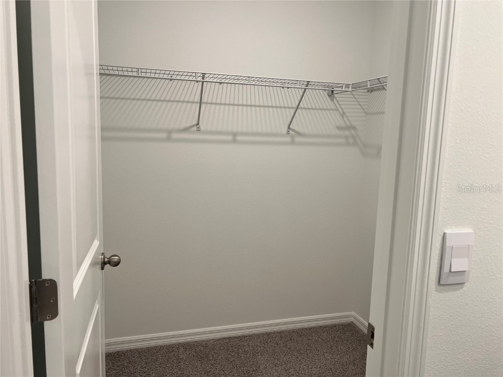 137 Mangrove Shade Circle Apollo Beach FL 33572 TB8423458 image26