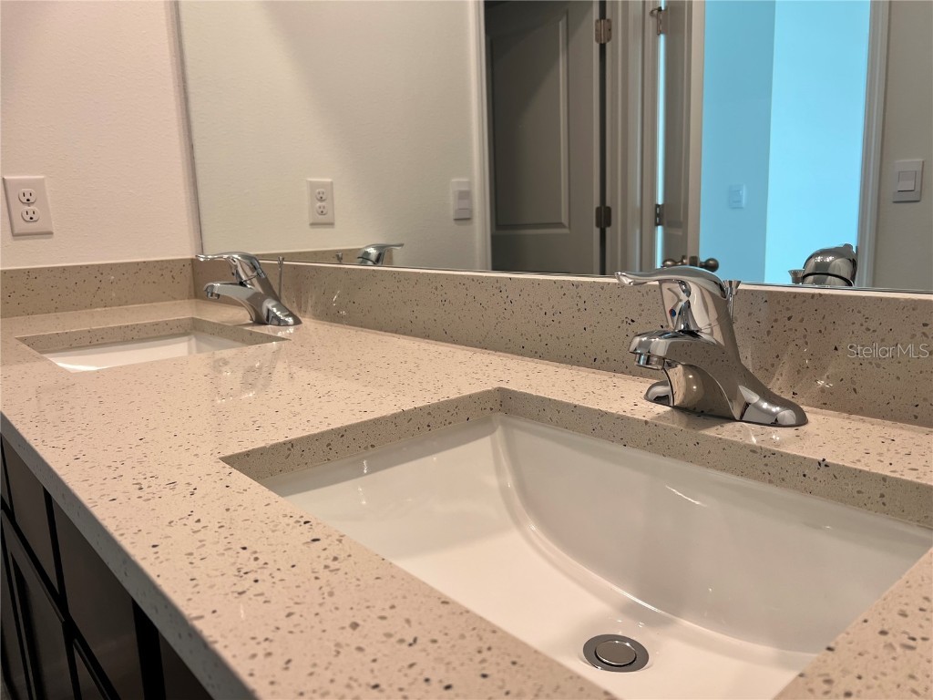 137 Mangrove Shade Circle Apollo Beach FL 33572 TB8423458 image28