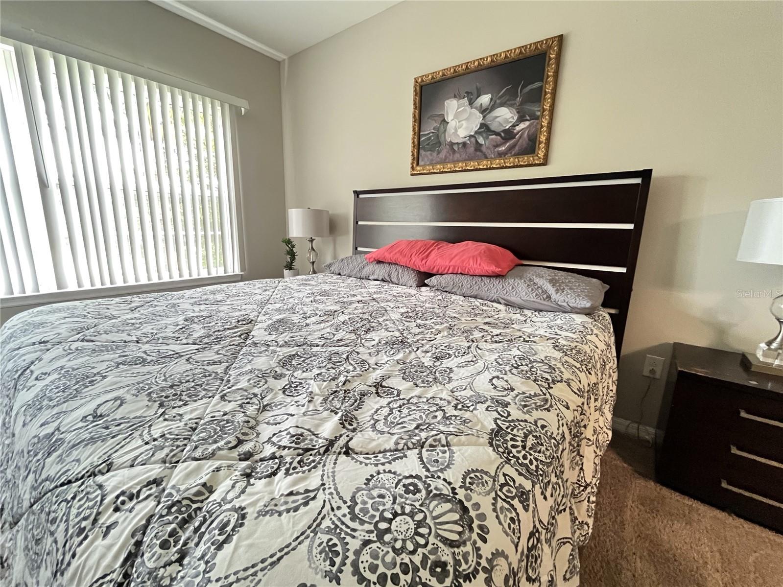 137 Navigation Circle Osprey FL 34229 A4699974 image11