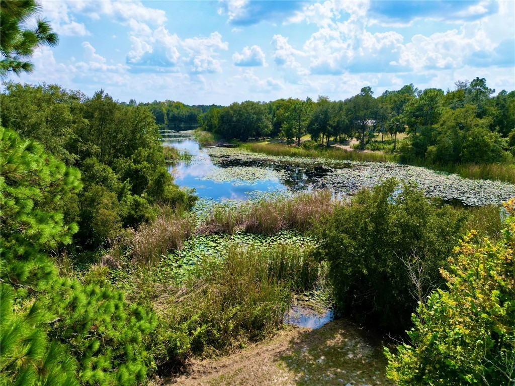 137 Oak Circle Interlachen FL 32148 GC534177 image38