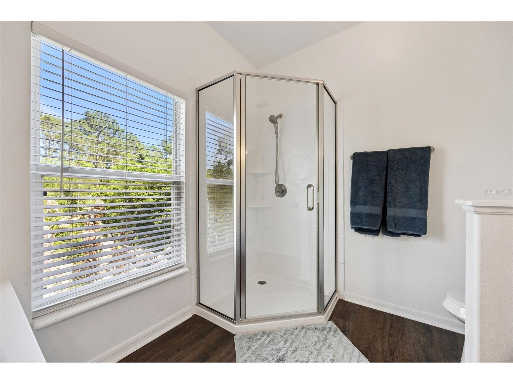 137 Oak View Place Sanford FL 32773 O6401459 image43