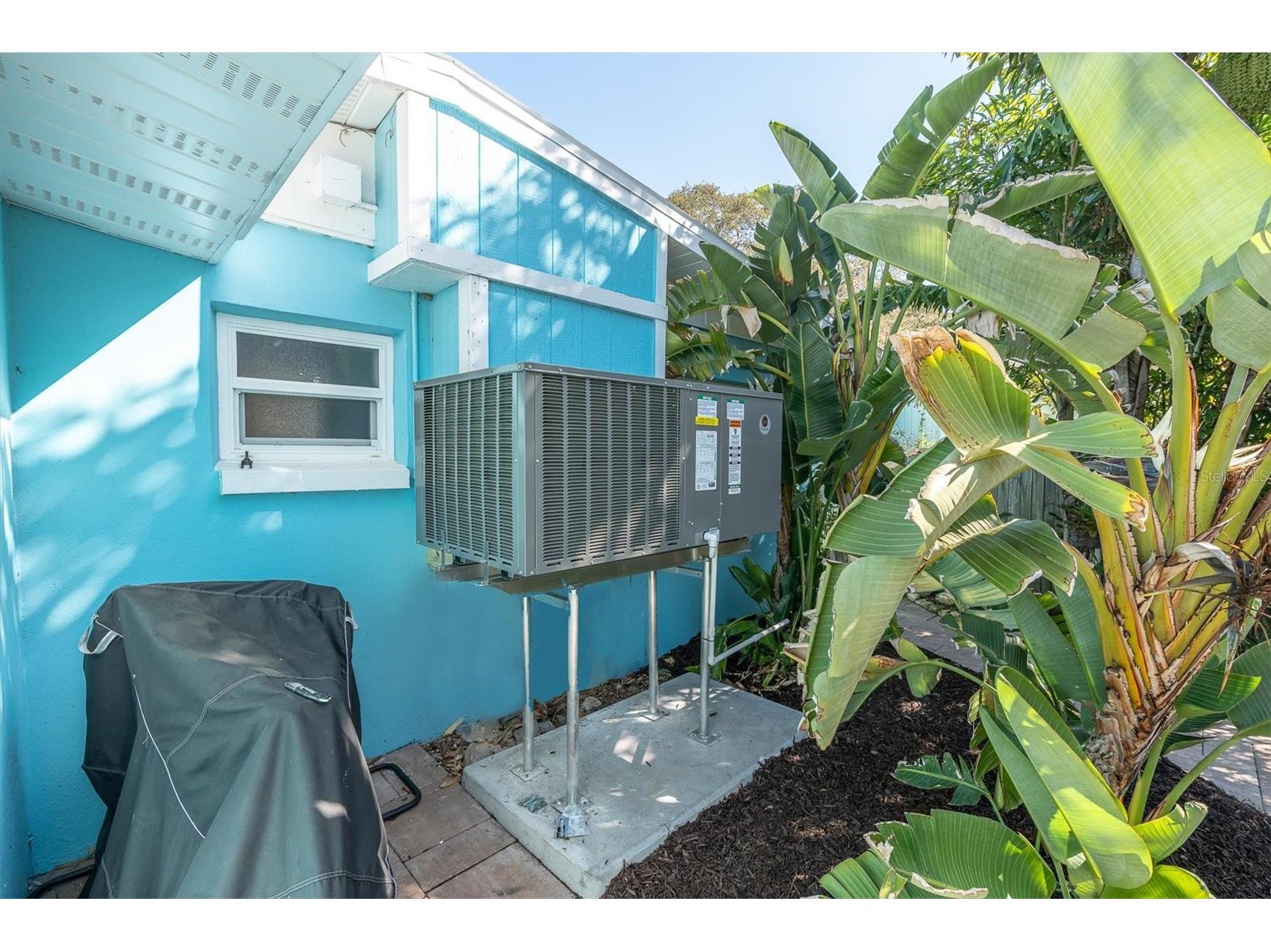 137 Pennsylvania Avenue Palm Harbor FL 34683 TB8485021 image40