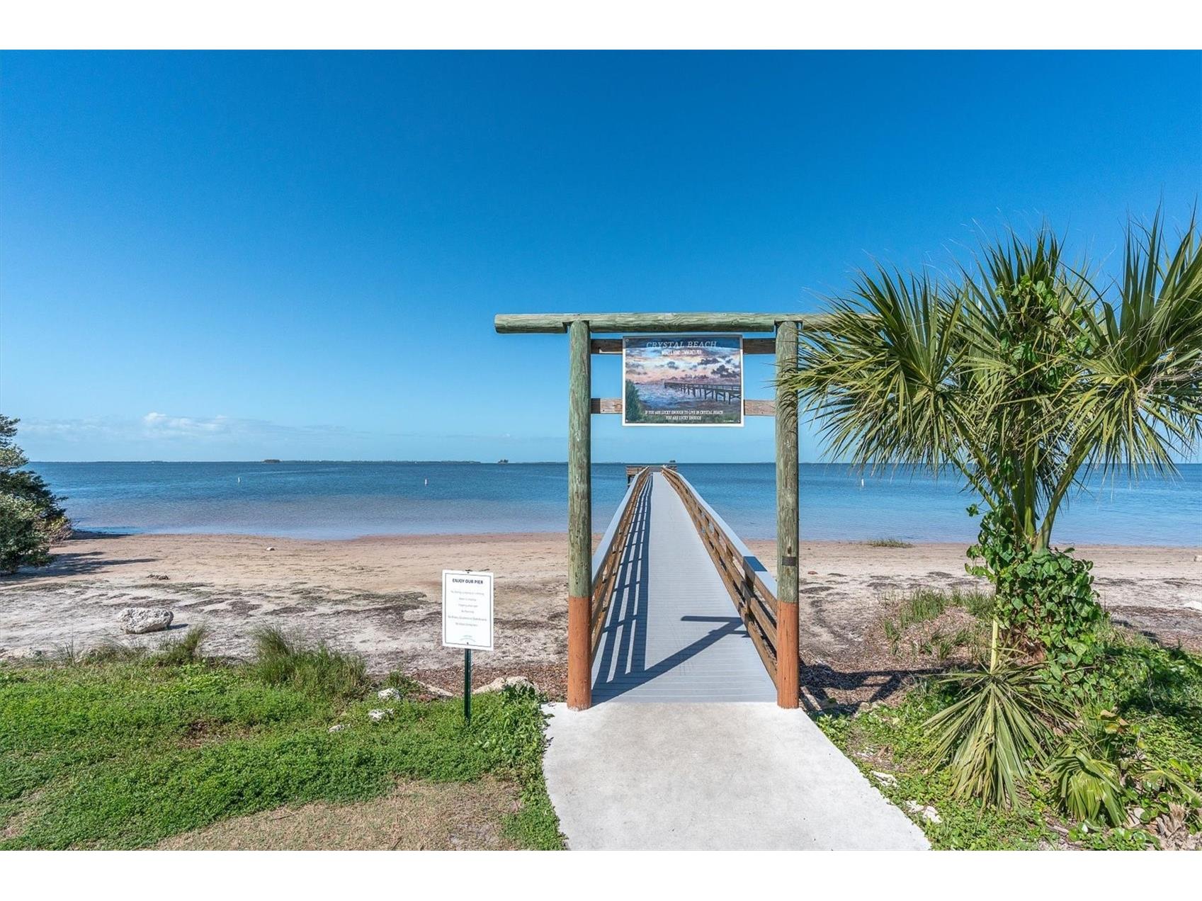 137 Pennsylvania Avenue Palm Harbor FL 34683 TB8485021 image41