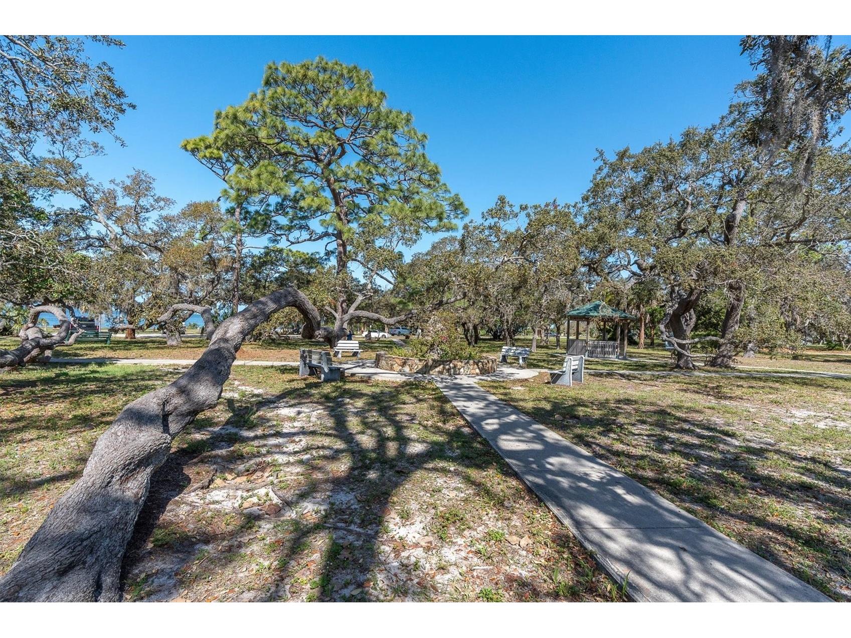 137 Pennsylvania Avenue Palm Harbor FL 34683 TB8485021 image42
