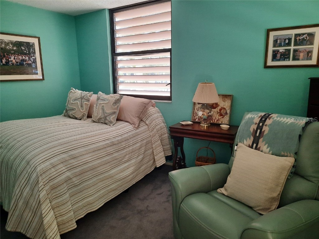 137 Pineneedle Drive #137 Bradenton FL 34210 A4656509 image27