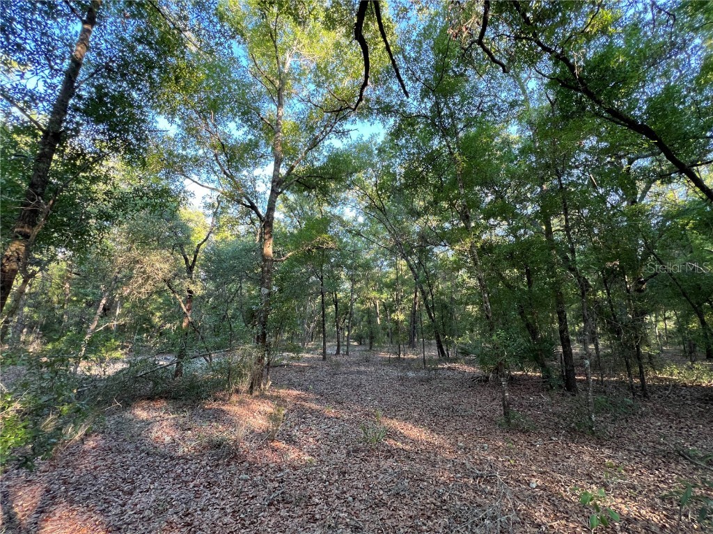 137 Silver Dollar Drive Hawthorne FL 32640 GC522325 image1