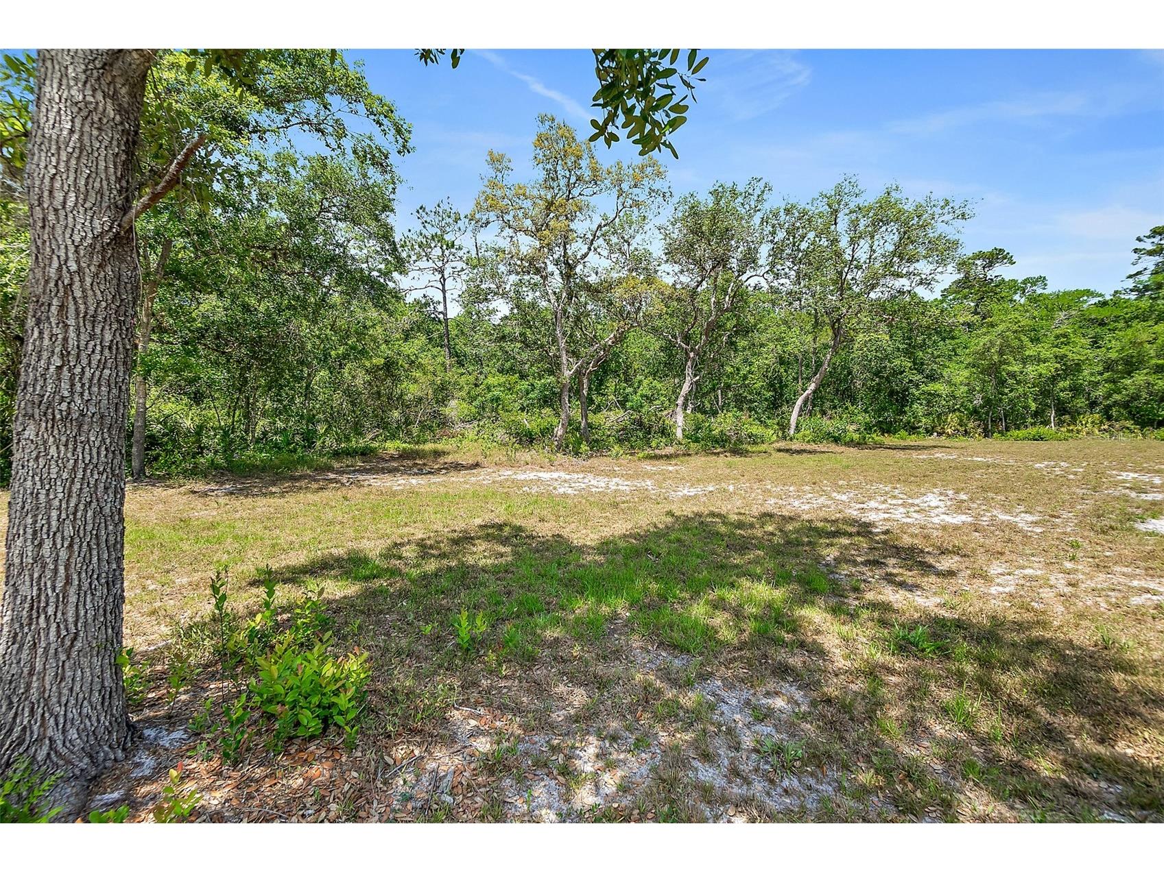 1370 Buckles Road Pierson FL 32180 V4948549 image44
