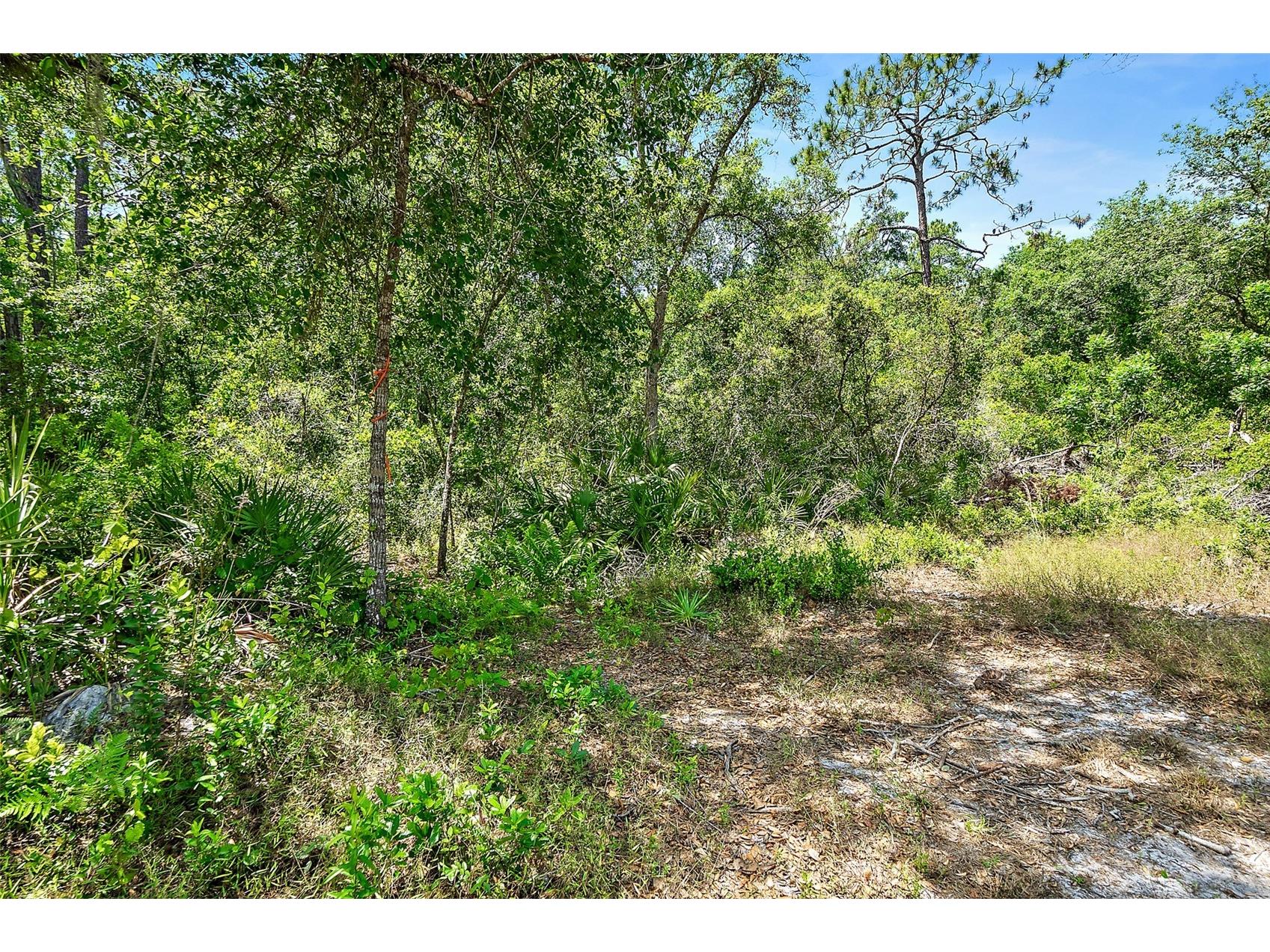 1370 Buckles Road Pierson FL 32180 V4948549 image45