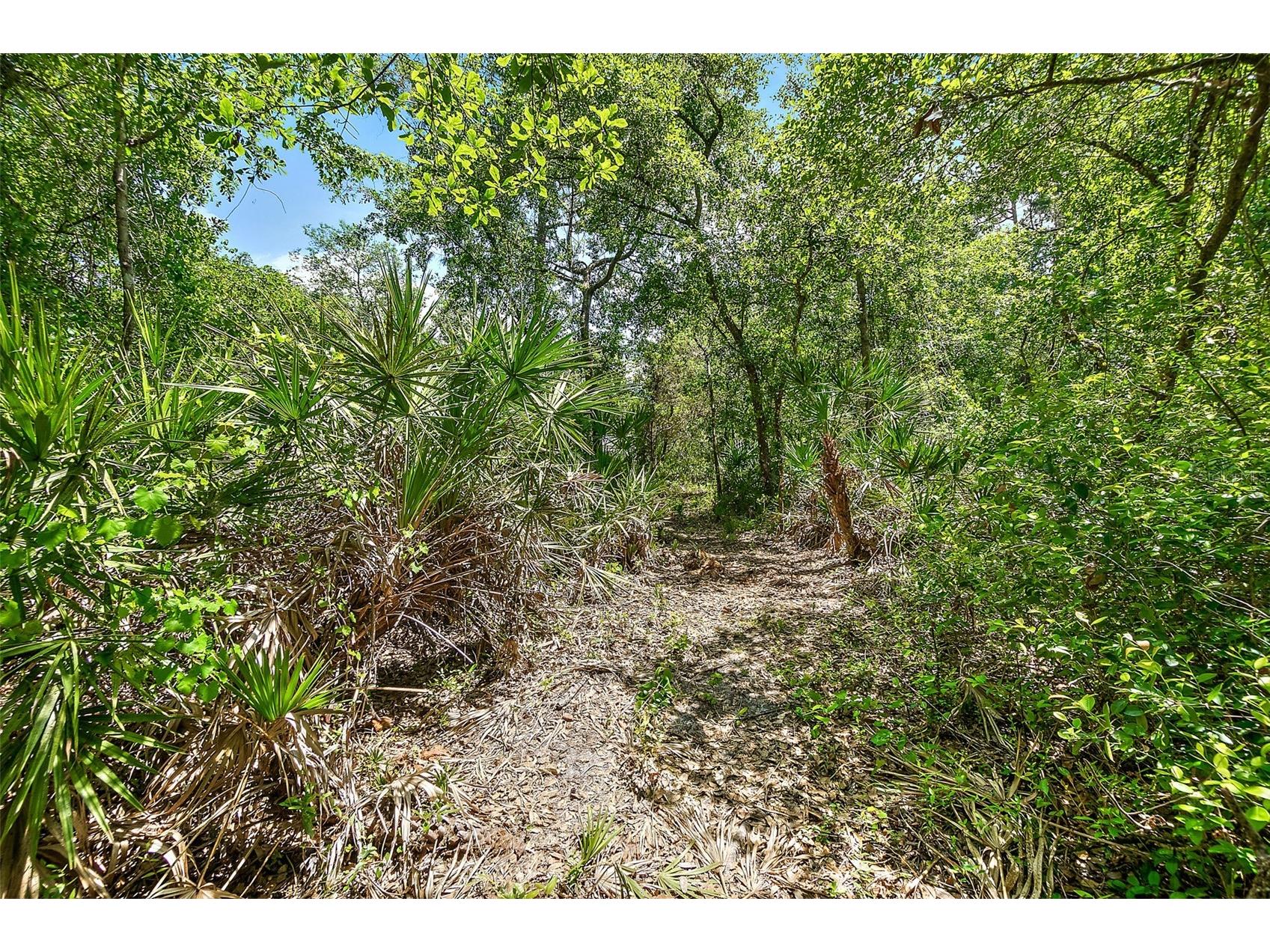 1370 Buckles Road Pierson FL 32180 V4948549 image46