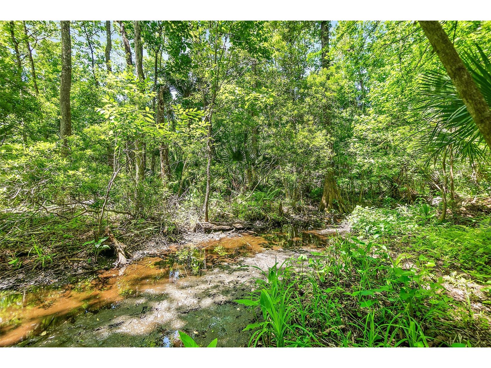 1370 Buckles Road Pierson FL 32180 V4948549 image47