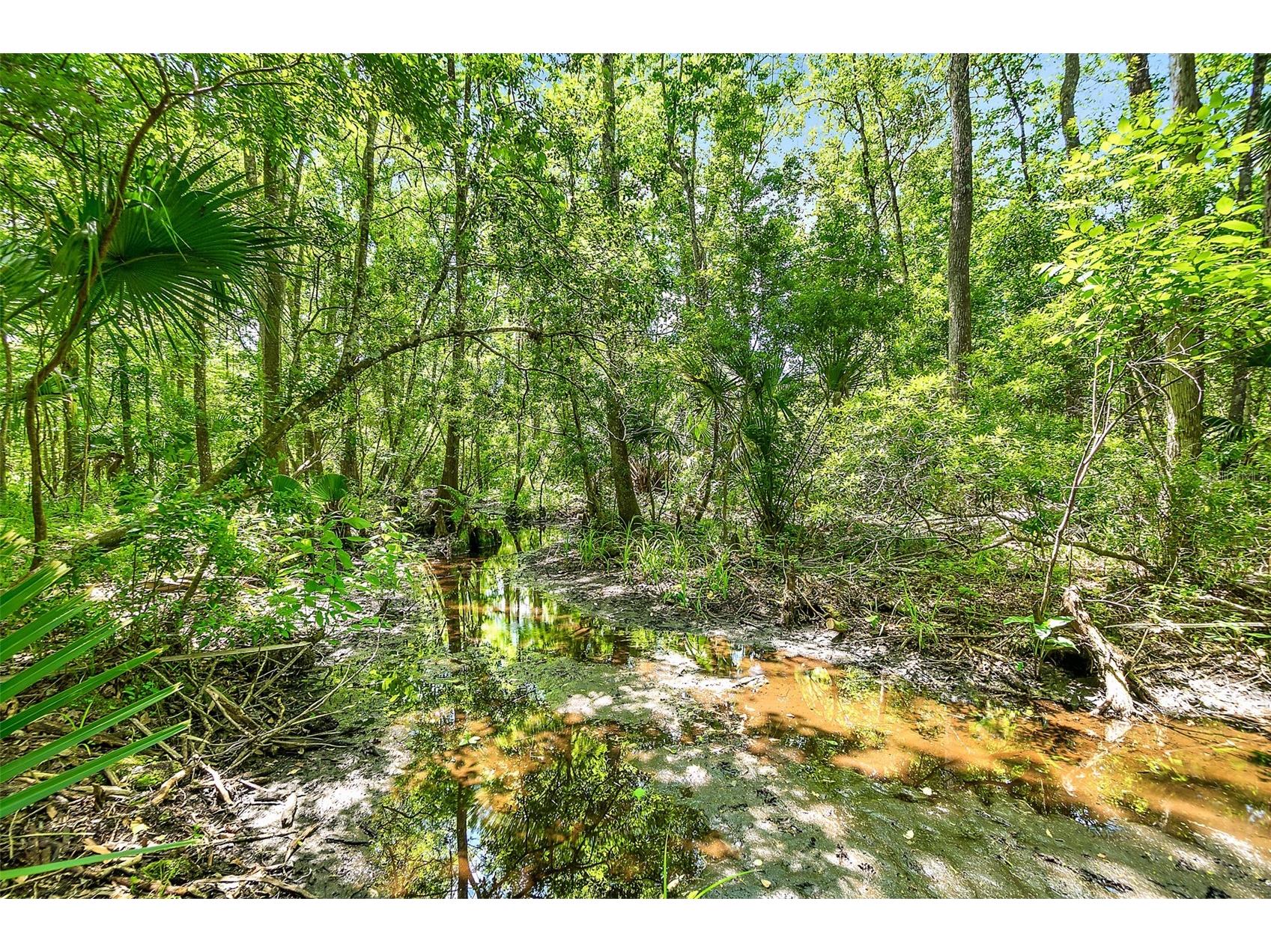 1370 Buckles Road Pierson FL 32180 V4948549 image48