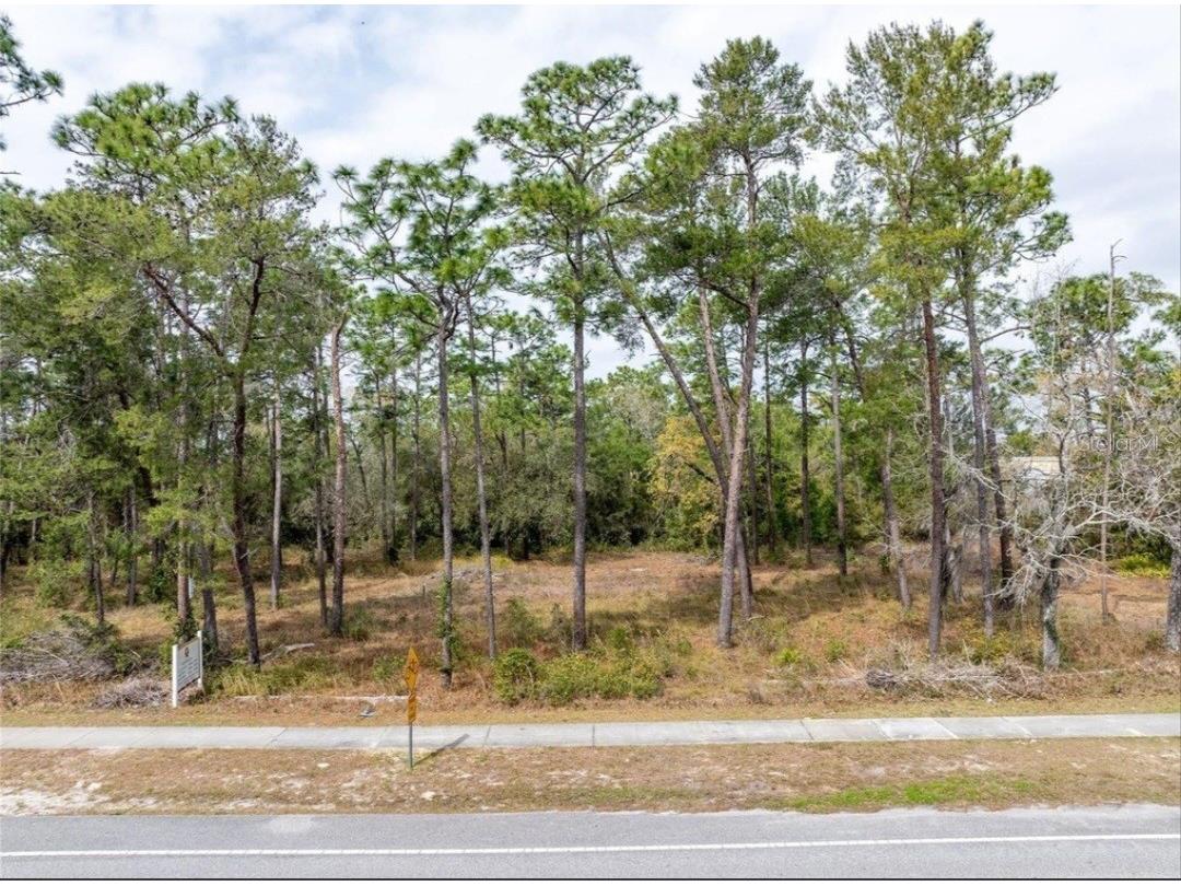 1370 Courtland Blvd Deltona FL 32738 O6381677 image1