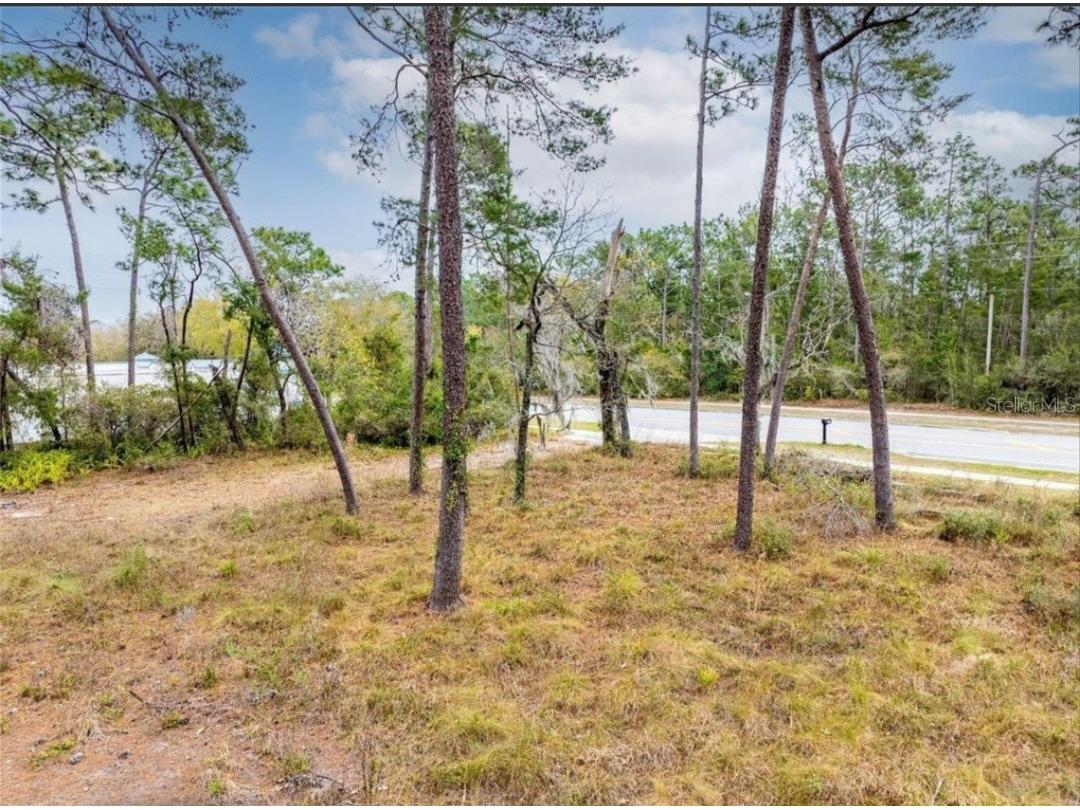 1370 Courtland Blvd Deltona FL 32738 O6381677 image15