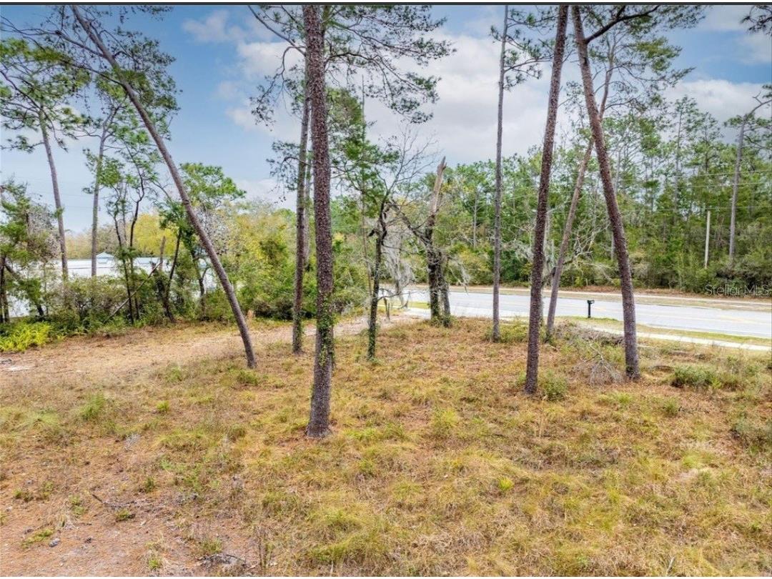 1370 Courtland Blvd Deltona FL 32738 O6381677 image7