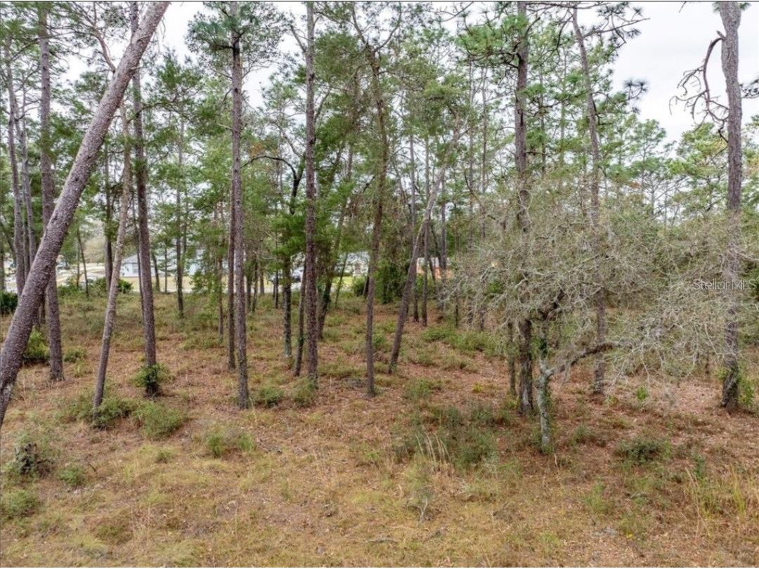 1370 Courtland Blvd Deltona FL 32738 O6381677 image9