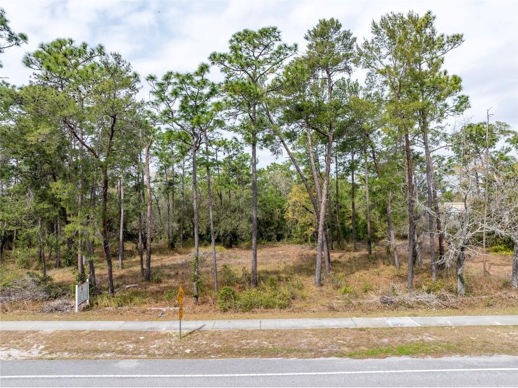 1370 Courtland Boulevard Deltona FL 32738 V4935154 image1