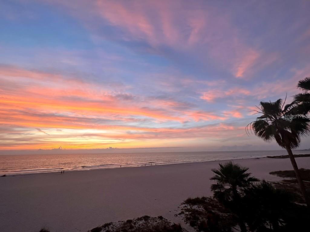 1370 Gulf Boulevard #403 Clearwater Beach FL 33767 - GULF OF MEXICO U8184846 image1