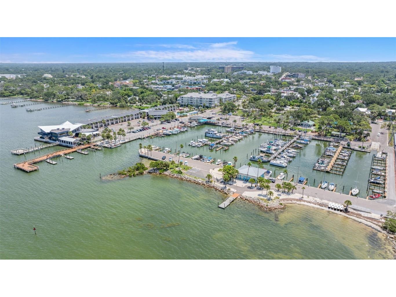 1370 Heather Ridge Boulevard #105 Dunedin FL 34698 TB8402918 image49