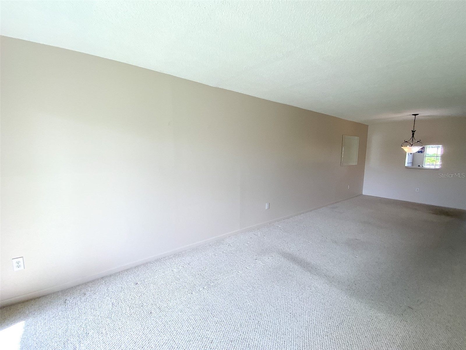 1370 Heather Ridge Boulevard #204 Dunedin FL 34698 TB8497932 image10