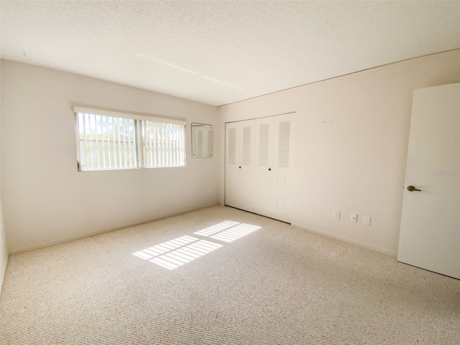 1370 Heather Ridge Boulevard #204 Dunedin FL 34698 TB8497932 image16