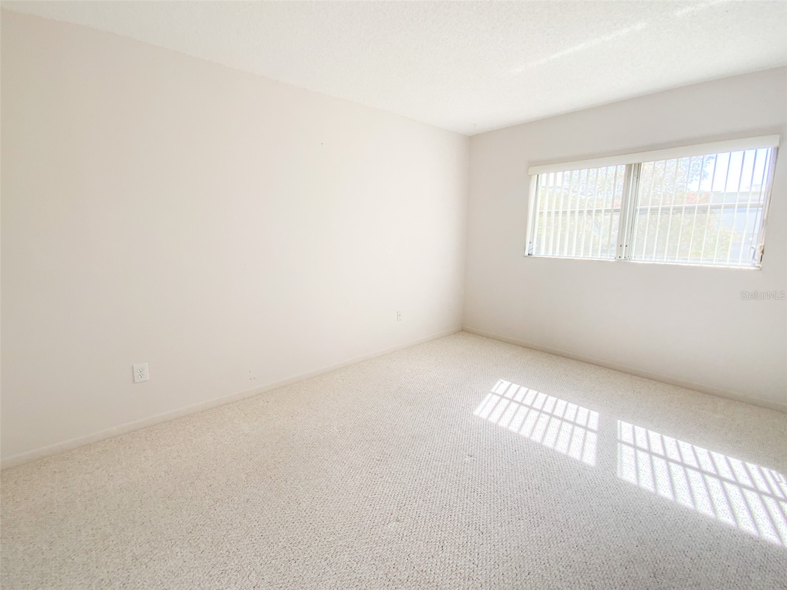 1370 Heather Ridge Boulevard #204 Dunedin FL 34698 TB8497932 image17