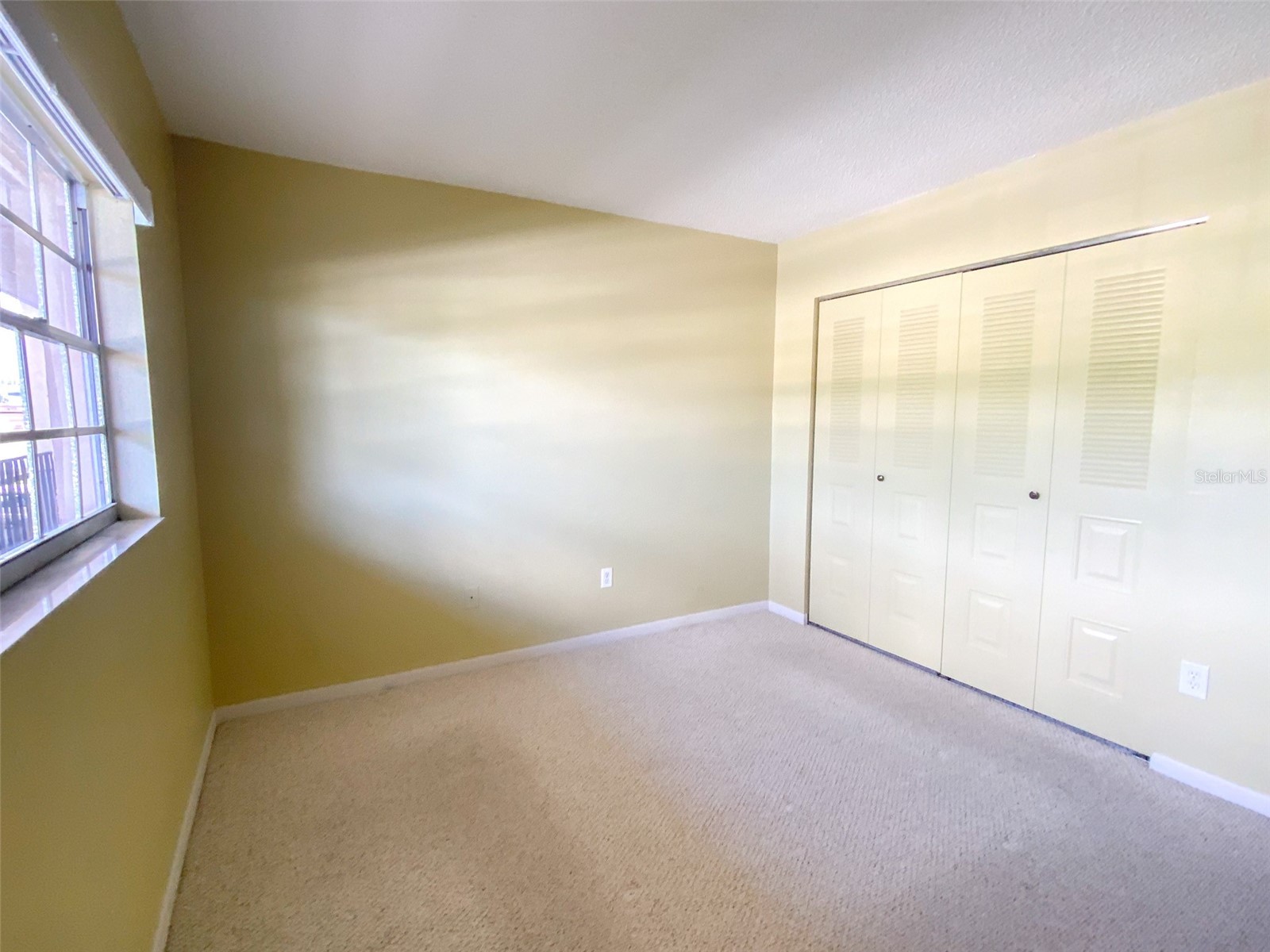 1370 Heather Ridge Boulevard #204 Dunedin FL 34698 TB8497932 image18