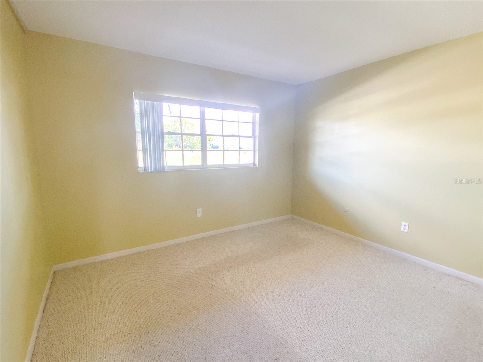 1370 Heather Ridge Boulevard #204 Dunedin FL 34698 TB8497932 image20