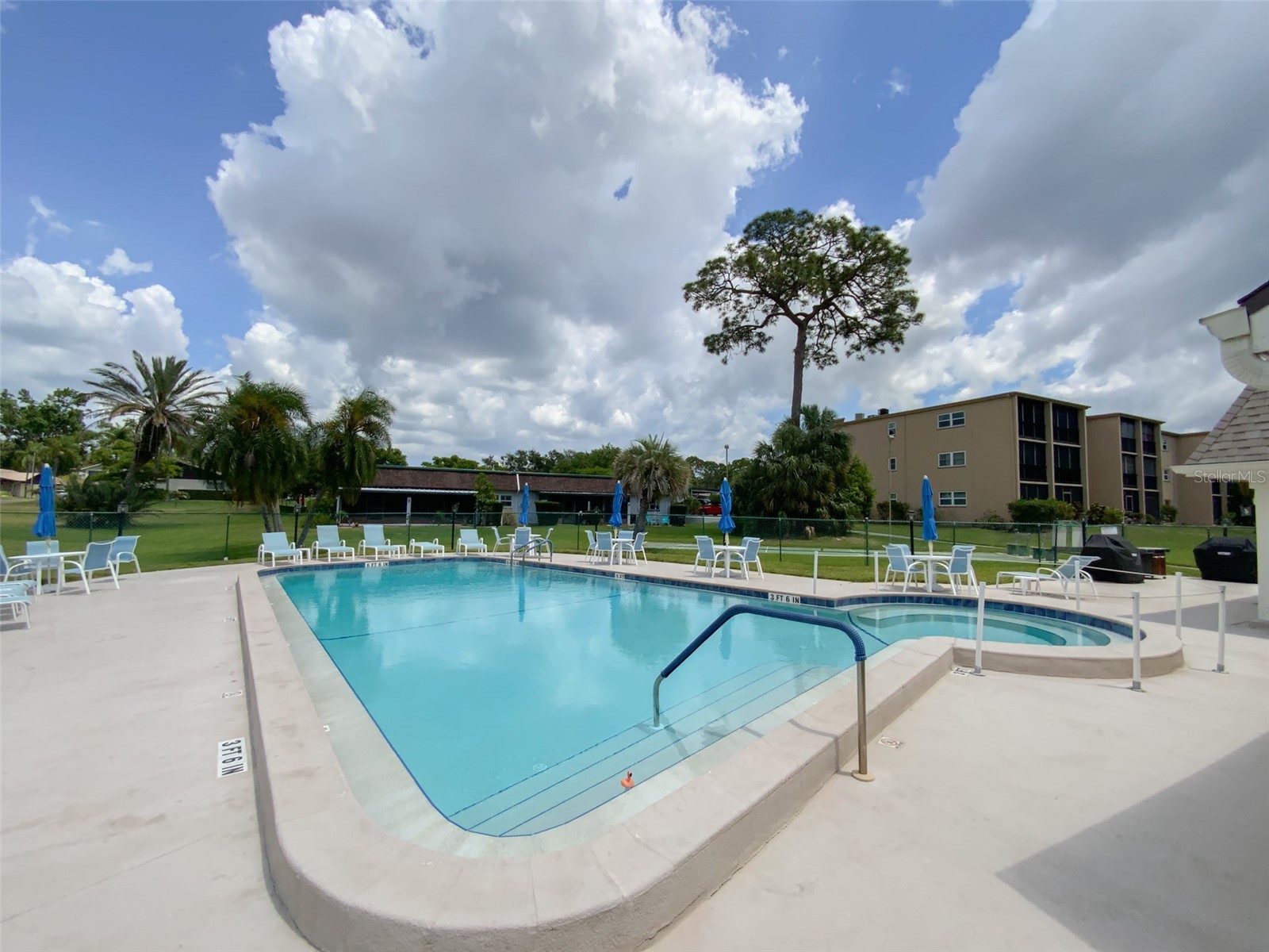 1370 Heather Ridge Boulevard #204 Dunedin FL 34698 TB8497932 image30