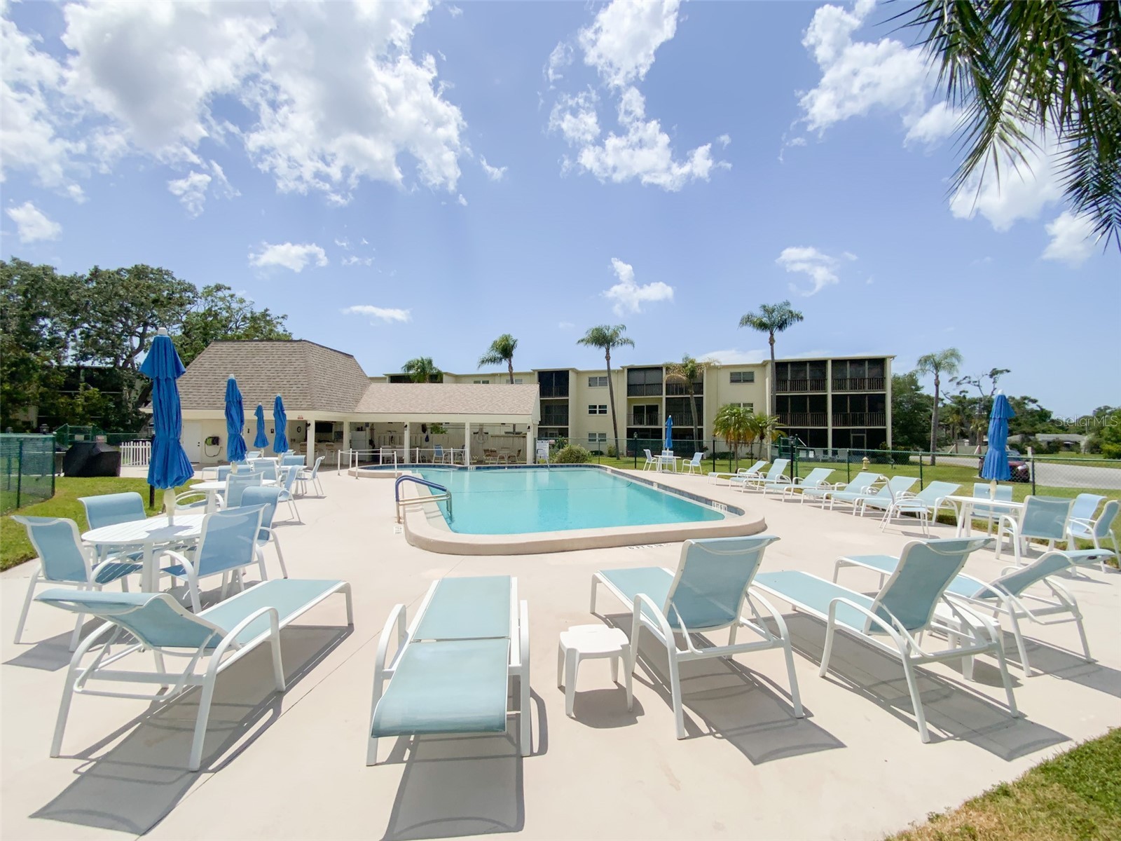1370 Heather Ridge Boulevard #204 Dunedin FL 34698 TB8497932 image32