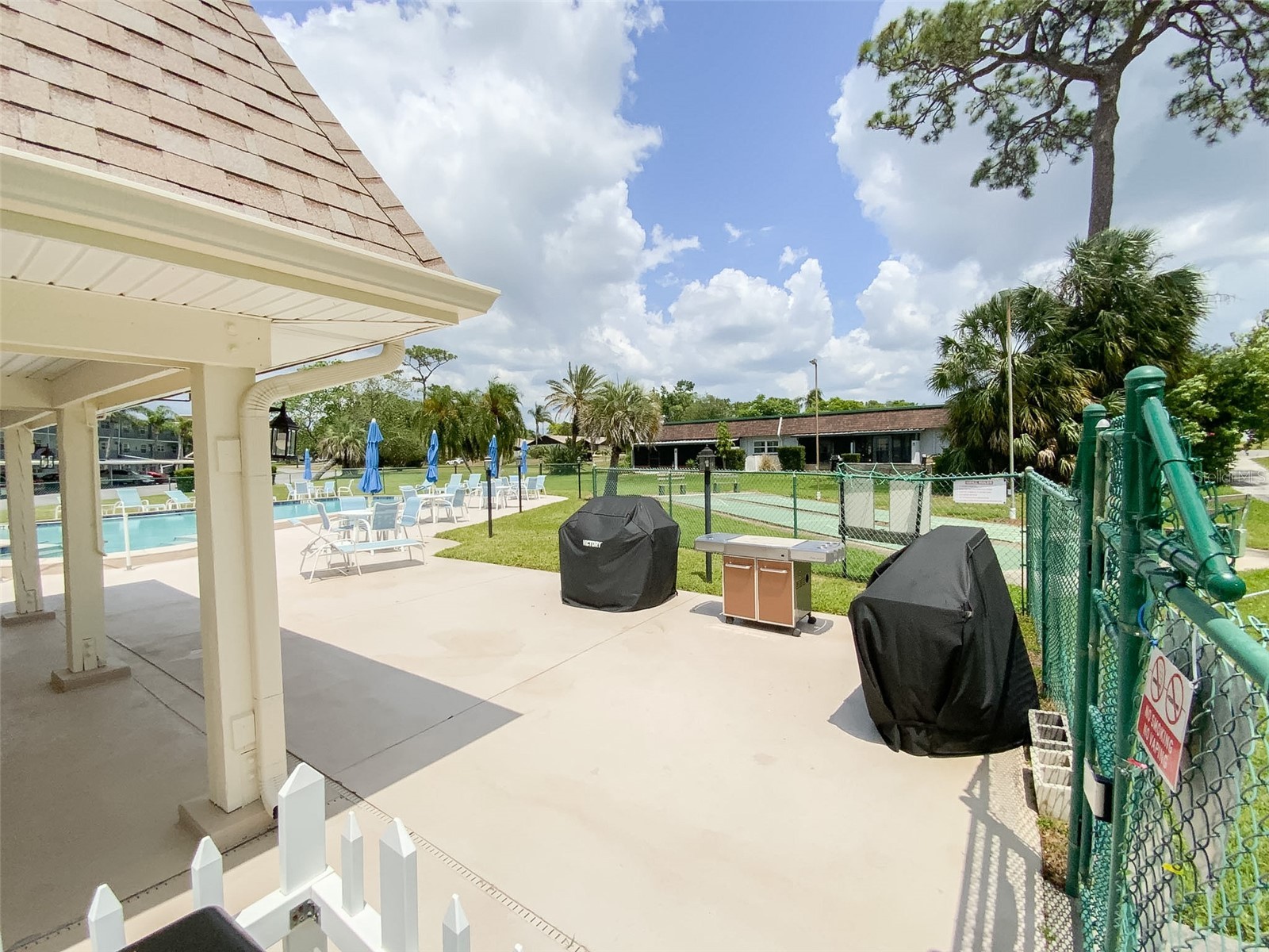 1370 Heather Ridge Boulevard #204 Dunedin FL 34698 TB8497932 image34