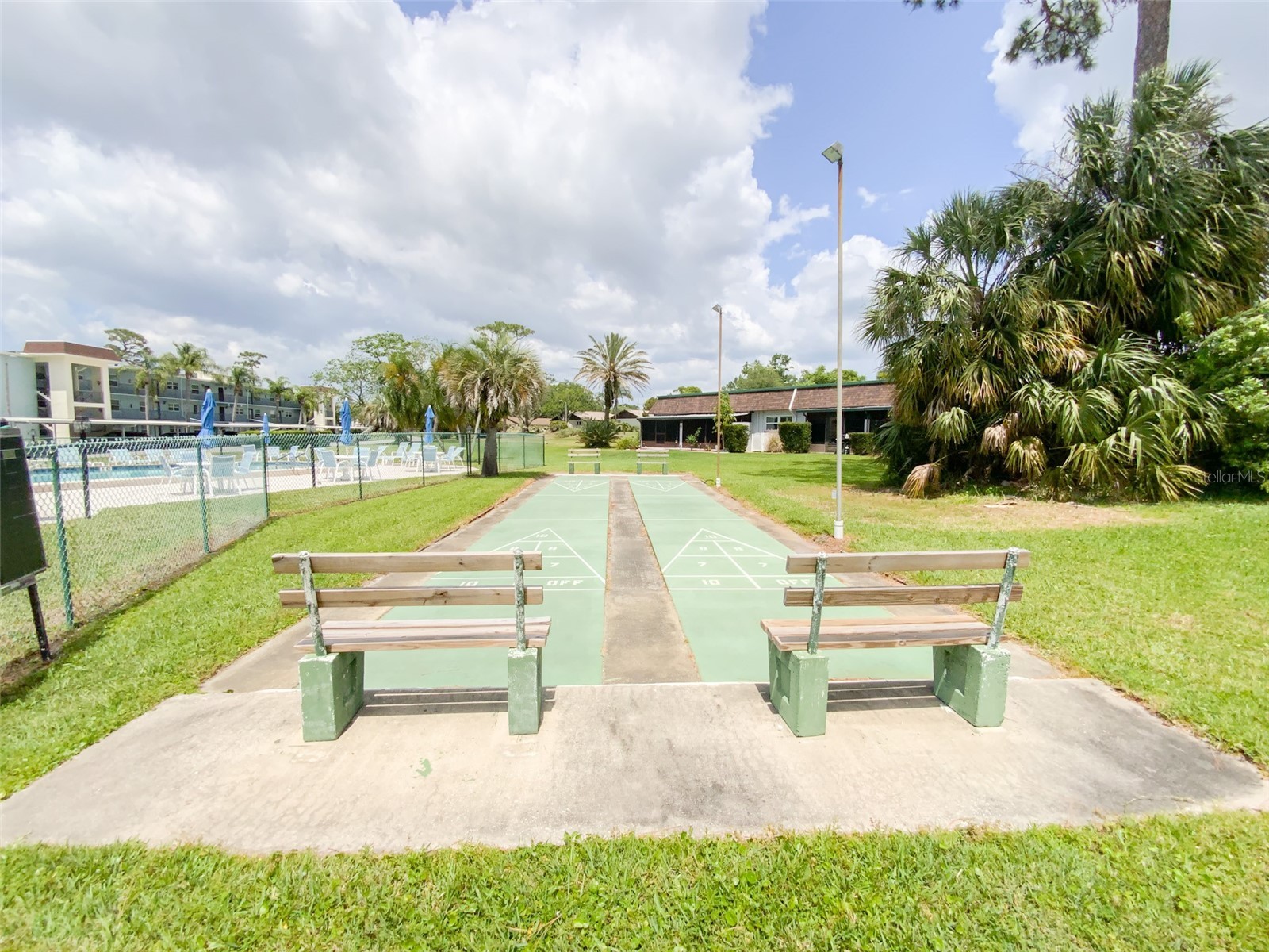 1370 Heather Ridge Boulevard #204 Dunedin FL 34698 TB8497932 image36