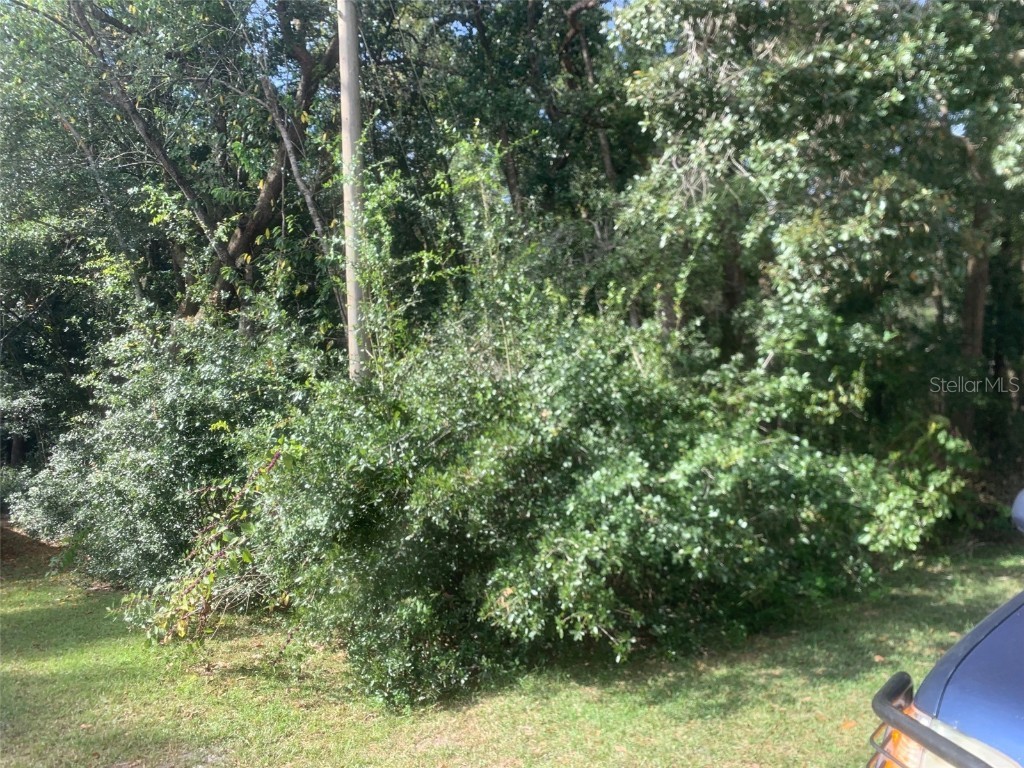 1370 Homosassa Drive Kissimmee FL 34759 S5076182 image1