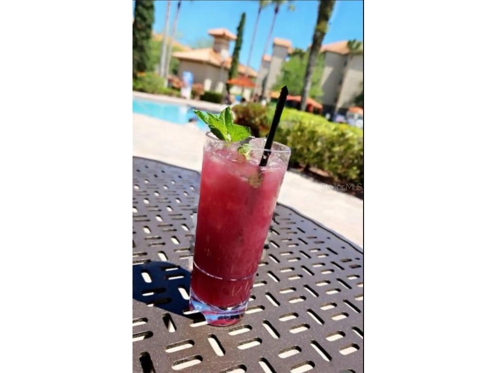 1370 Tuscan Terrace #2201 Davenport FL 33896 O6297106 image45